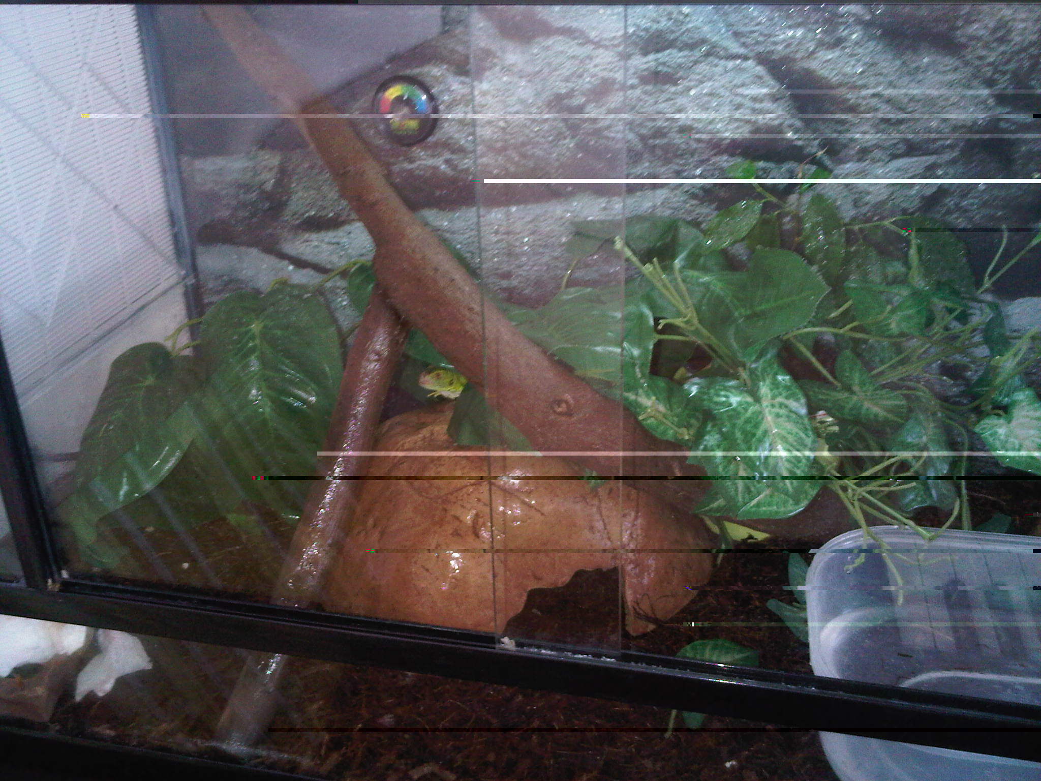 IMG00379-20120922-1336.jpg