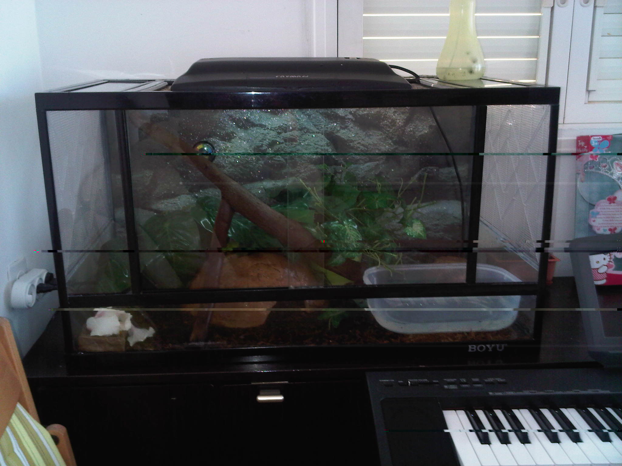 IMG00377-20120922-1335.jpg