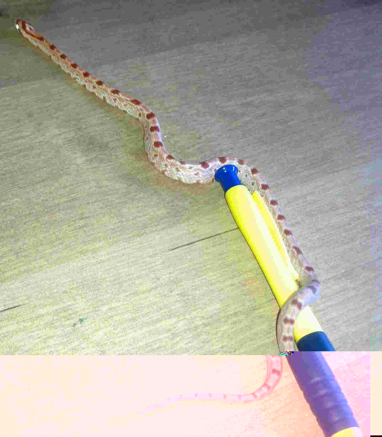 04102012602.jpg