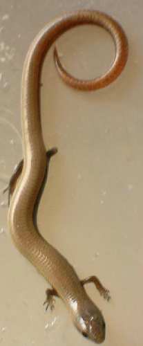 DSCN0938.JPG