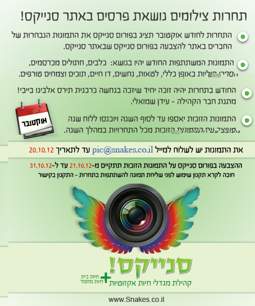 אוקטובר.jpg