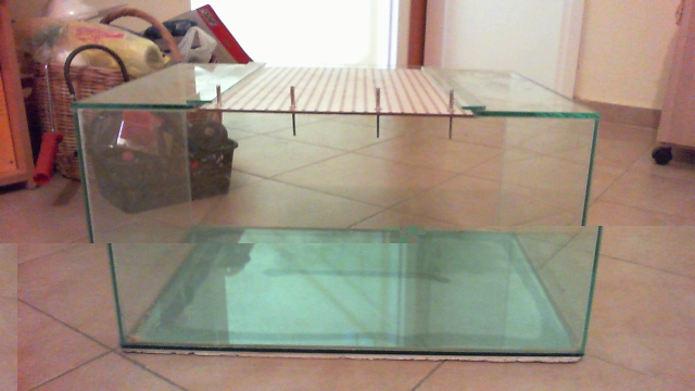 2012-11-16 17-19-22.458.jpg