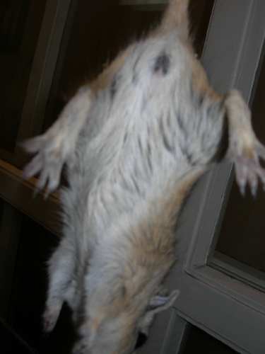 DSCN2475.JPG