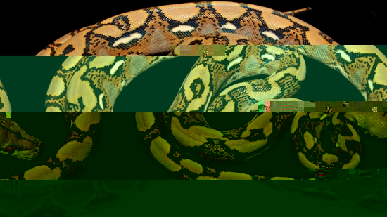 חידה 1.jpeg