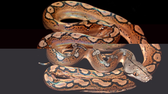 חידה 5.jpeg