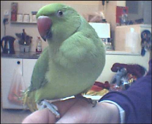 091714.jpg