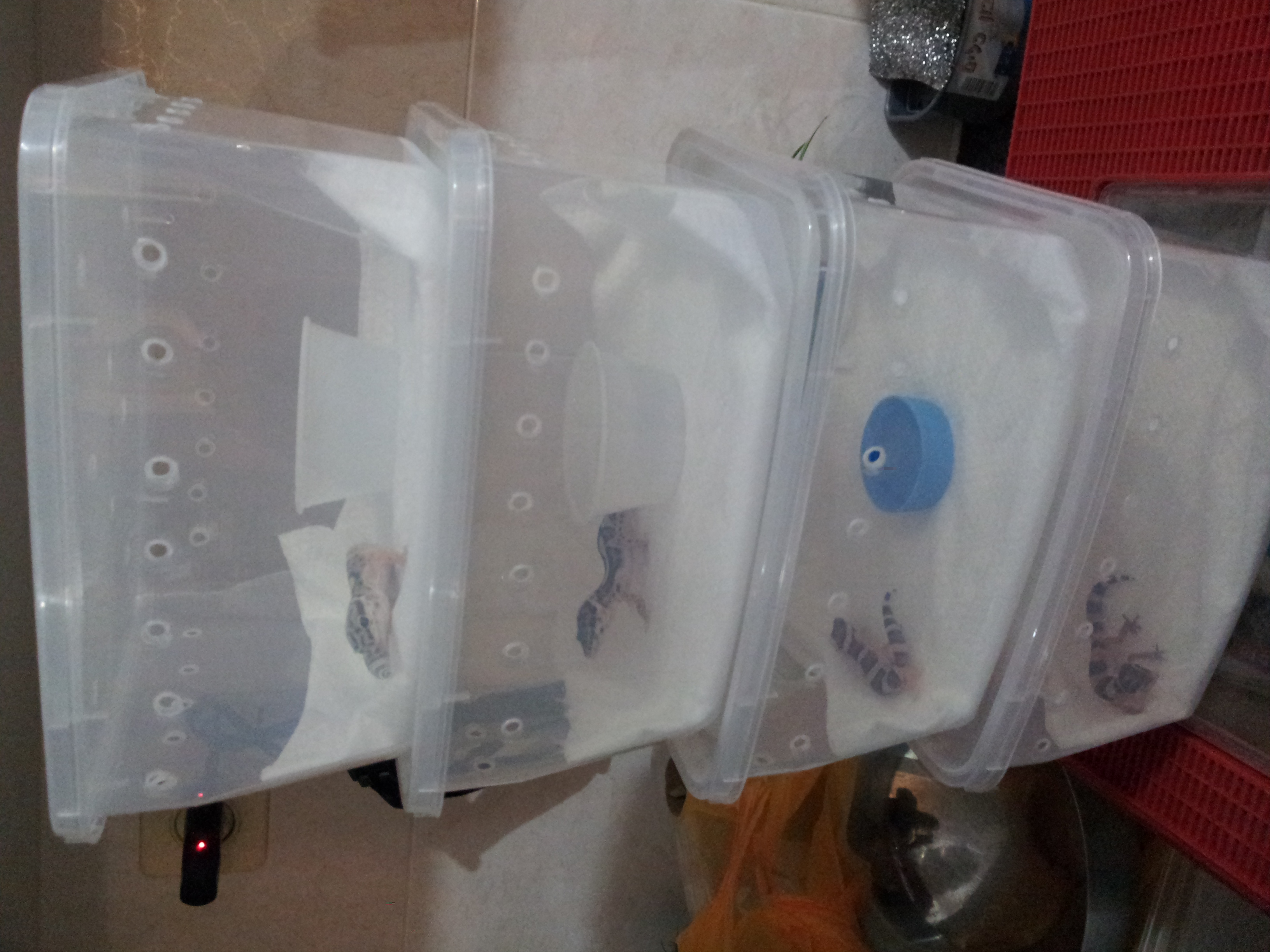 20121107_181746.jpg