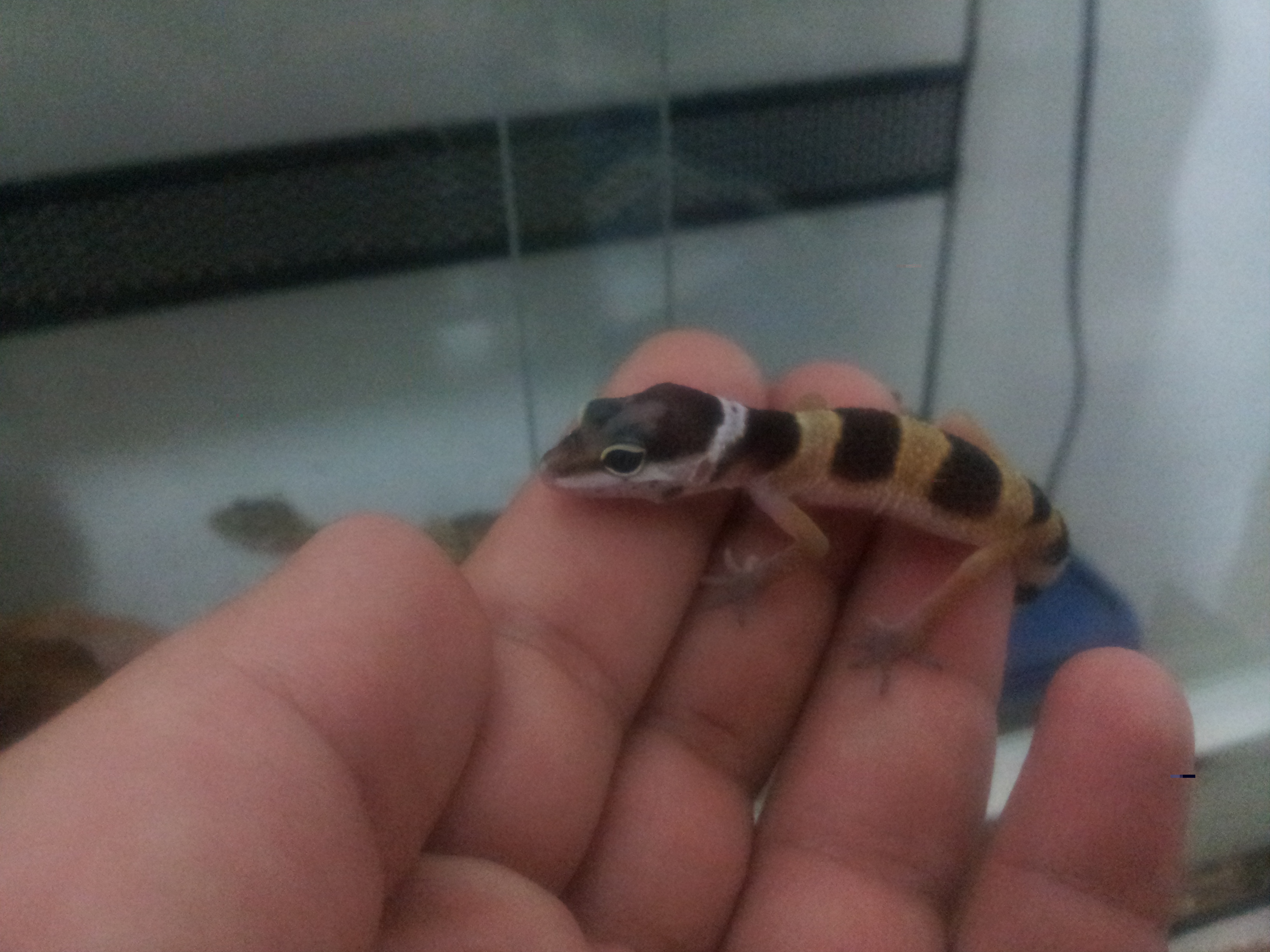 20121105_180251.jpg