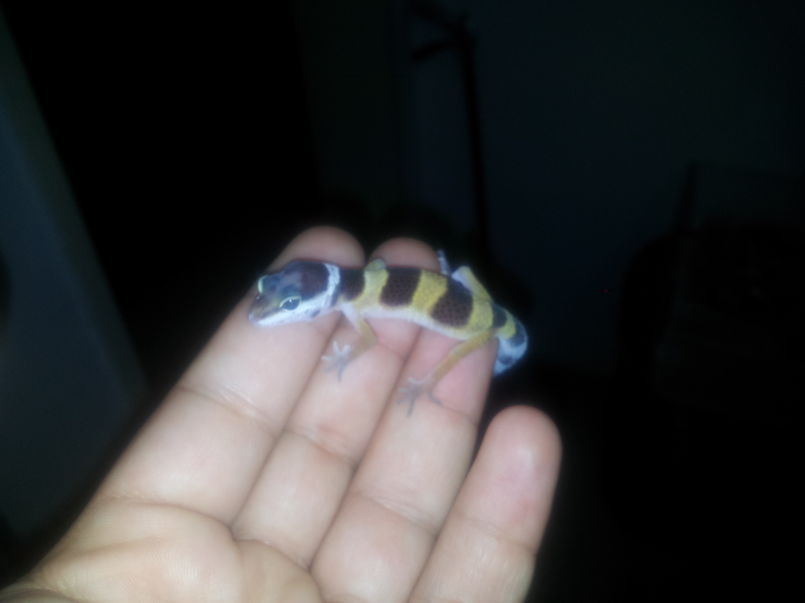 20121105_180259.jpg