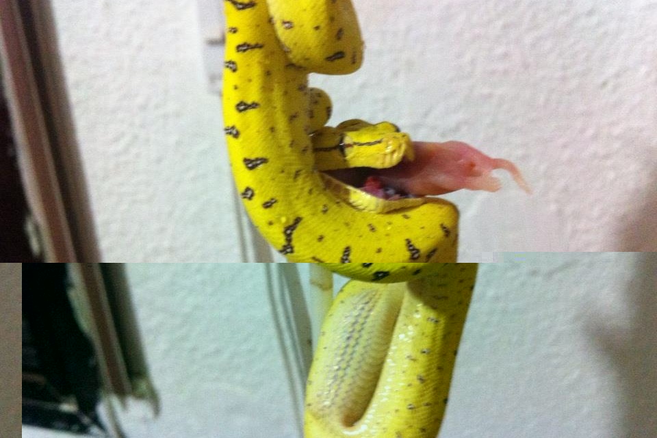 image.jpg