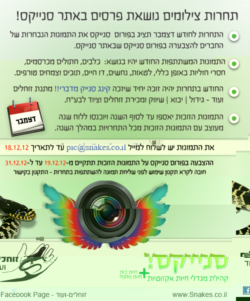 דצמבר.jpg