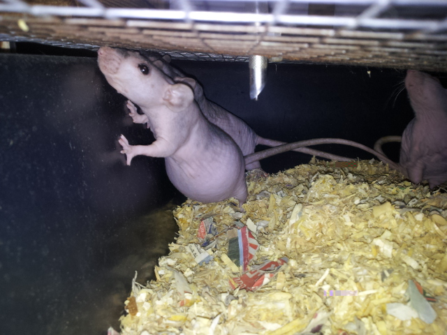 20121209_215934.jpg
