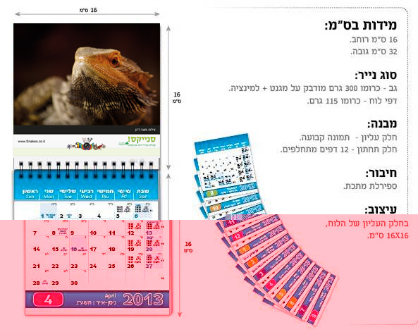 הדמייה.jpg