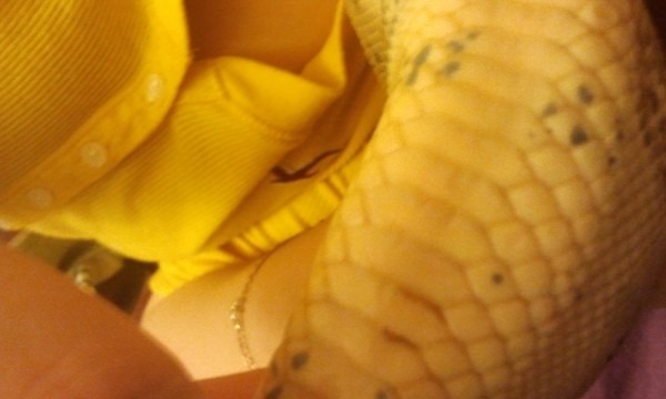 2013-01-22 22.24.27.jpg