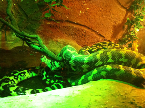 2013-01-22-14.08.49.jpg