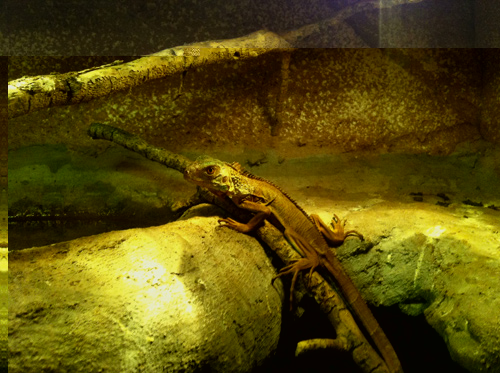 2013-01-22-14.15.26.jpg