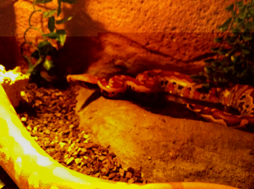 2013-01-22-14.29.16.jpg
