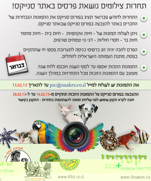 תחרות-תמונות-פבואר.jpg