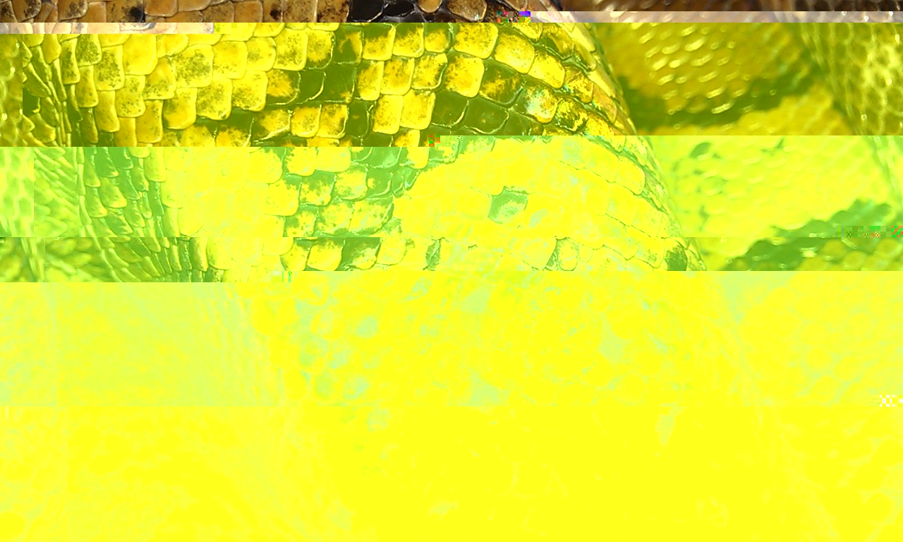 IMAG0175.jpg
