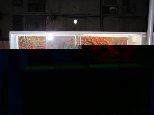 m_IMG_0281.jpg