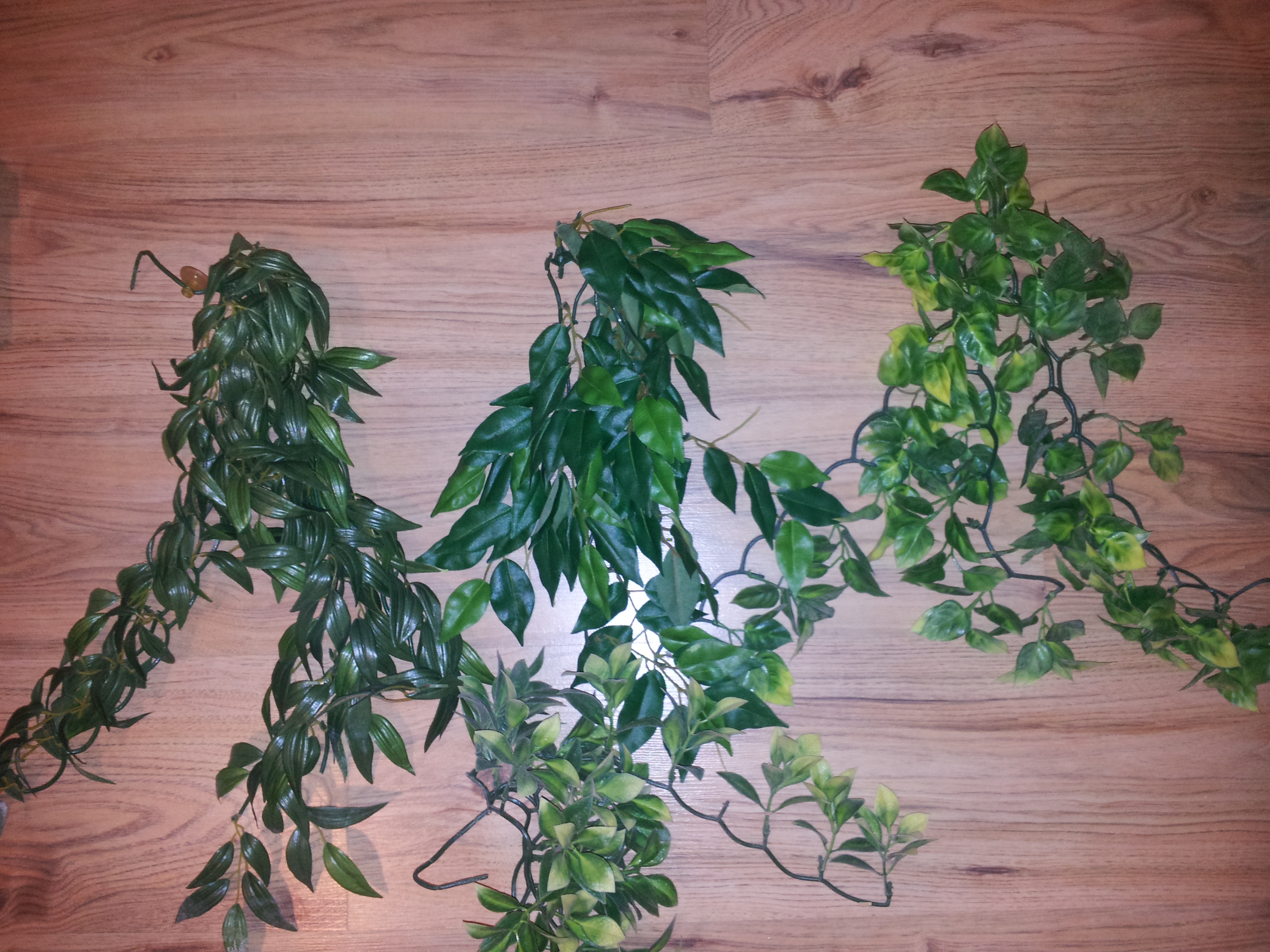 20130318_202359.jpg