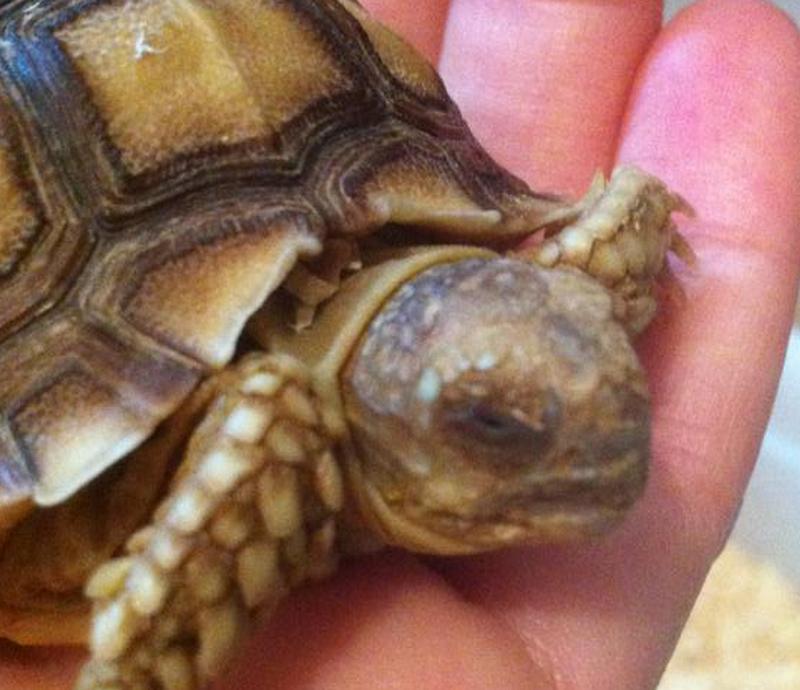 992788_280391102102081_714887163_n.jpg