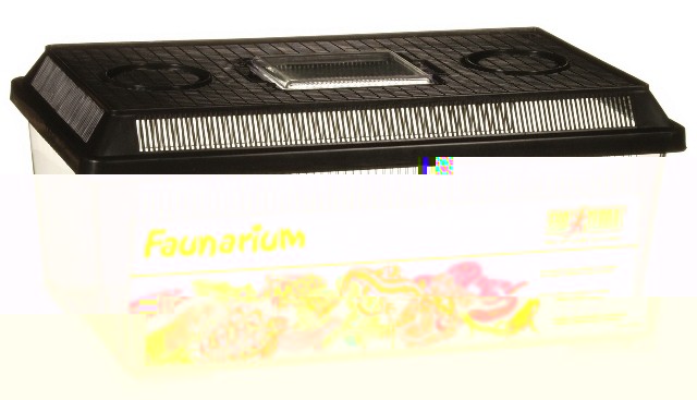 exo_terra_flat_faunarium_large[1].jpg
