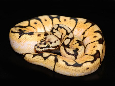 002[1].jpg