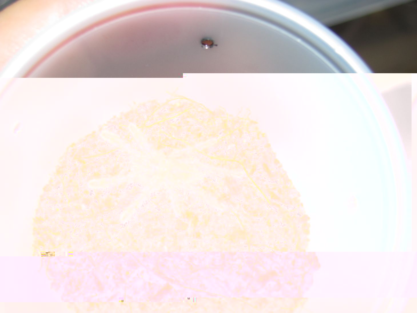 resized_IMG_4561.jpg