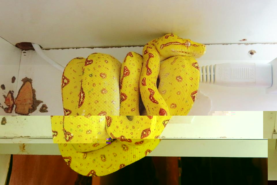 image.jpg