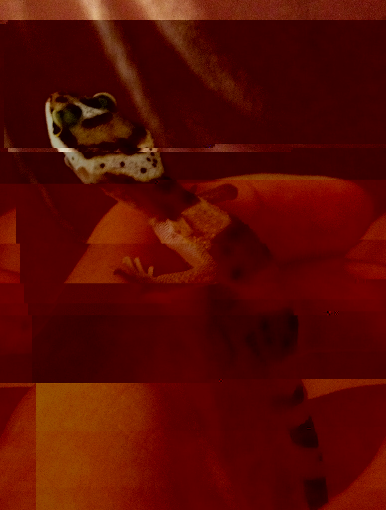 image.jpg