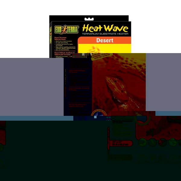 img.jpg