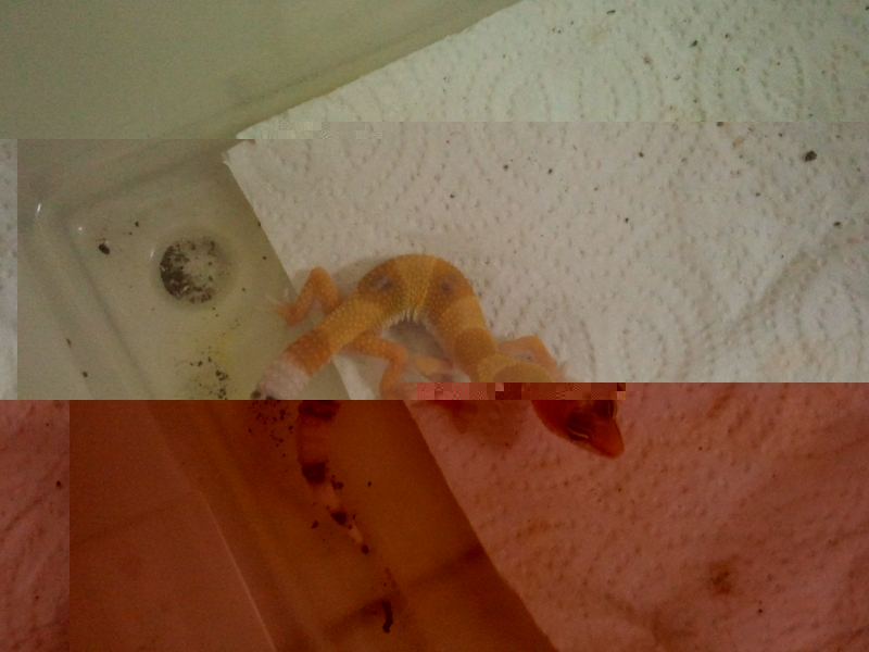 19.7.13.jpg