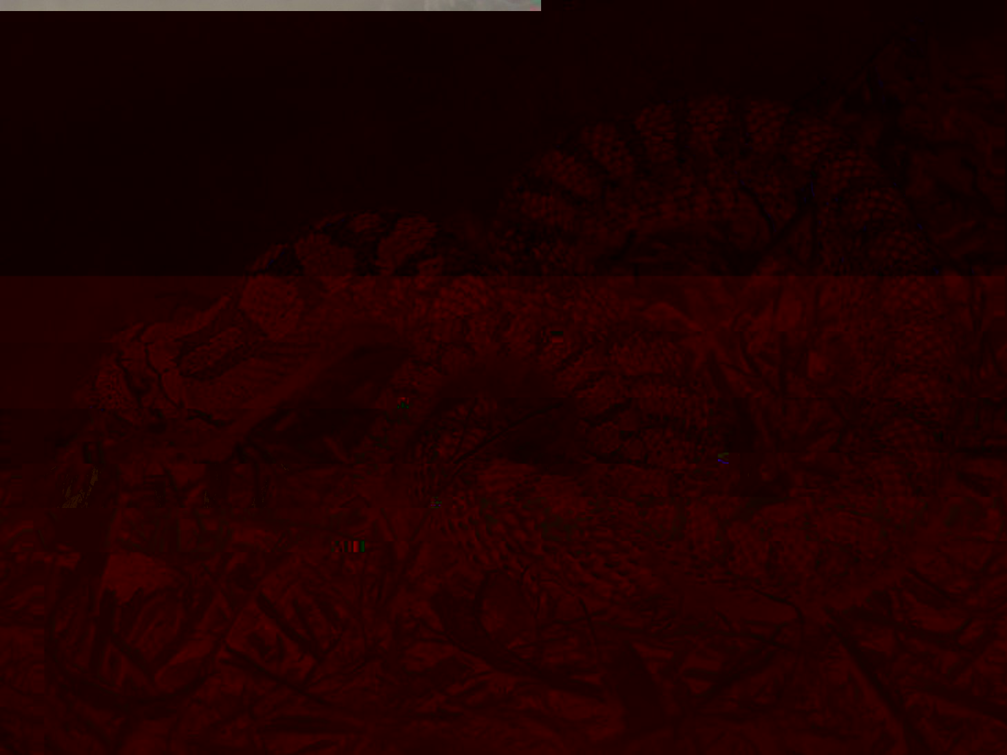 resized_IMG_5346.jpg