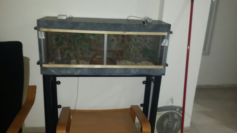 IMG-20140109-WA0002.jpg