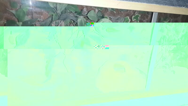 IMG-20140109-WA0004.jpg