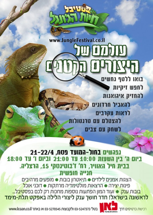 poster4.jpg