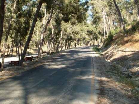 934.jpg