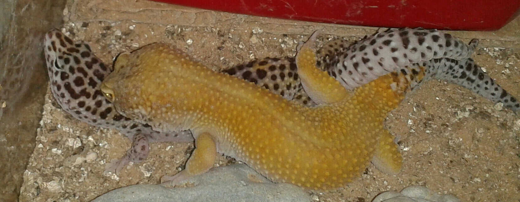 2013-05-03 19.45.34-1-1-1.jpg