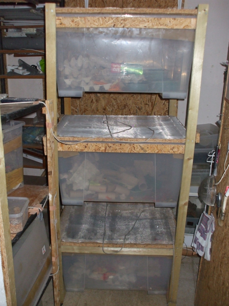 Rack 1.jpg