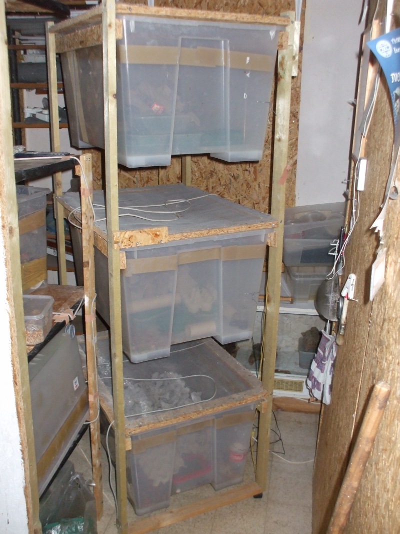 rack 2.jpg
