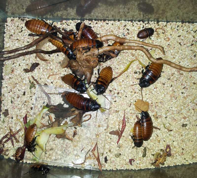 20140405_203204.jpg
