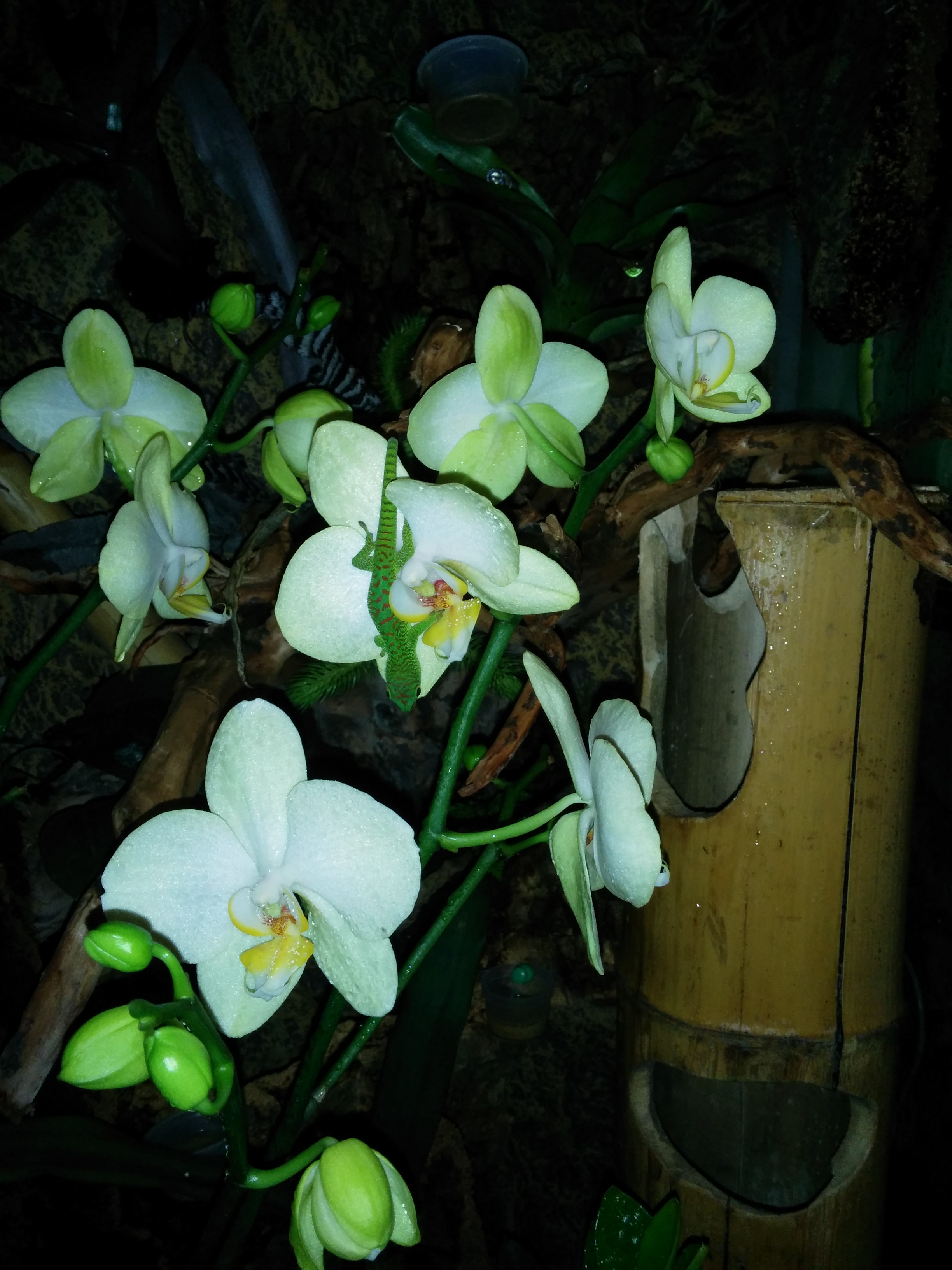 IMG_20140428_224725.jpg