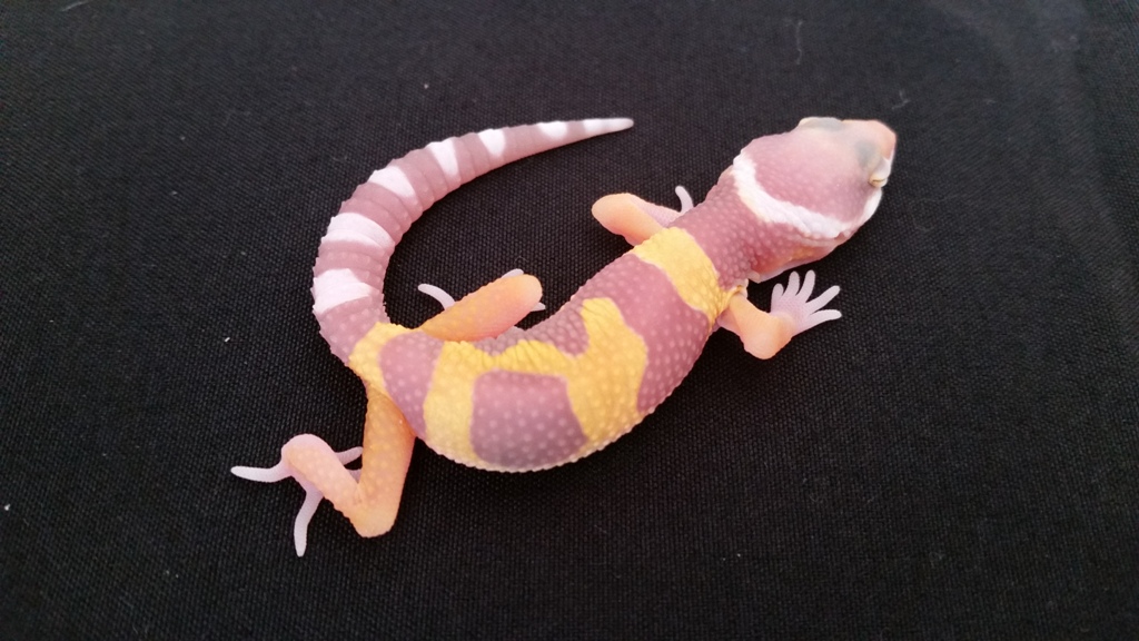 my new baby.jpg