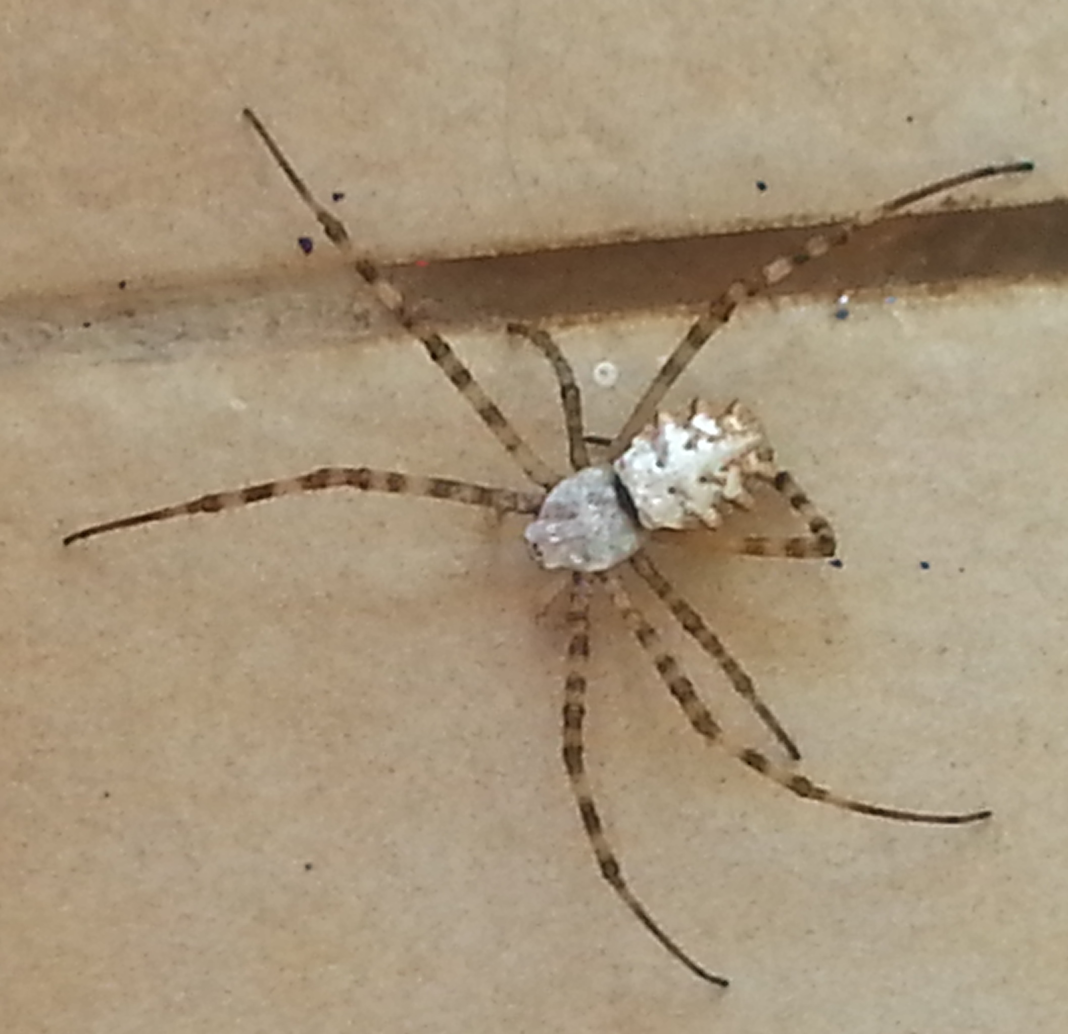 201406281_125208.jpg