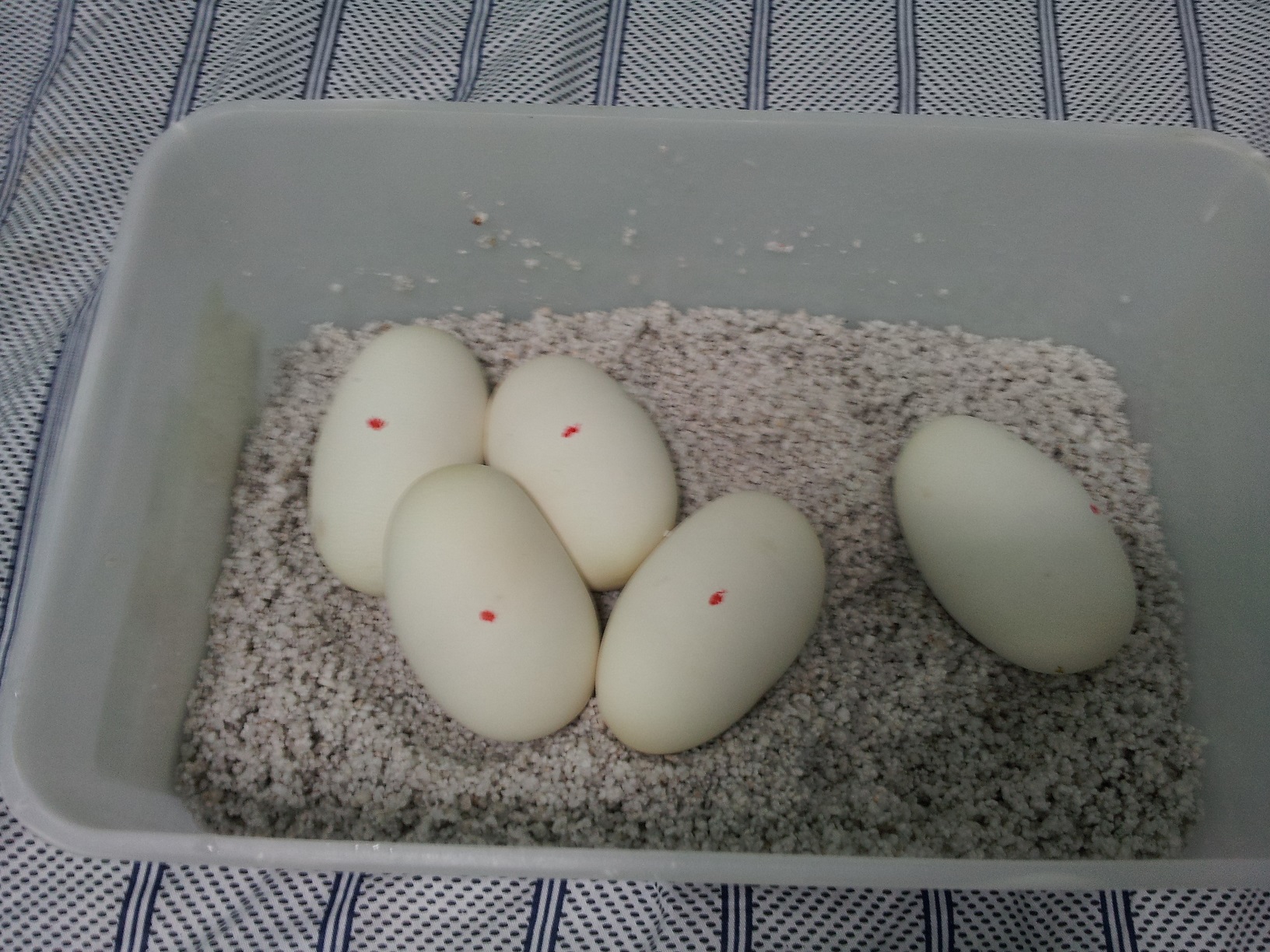 20140702_205614.jpg