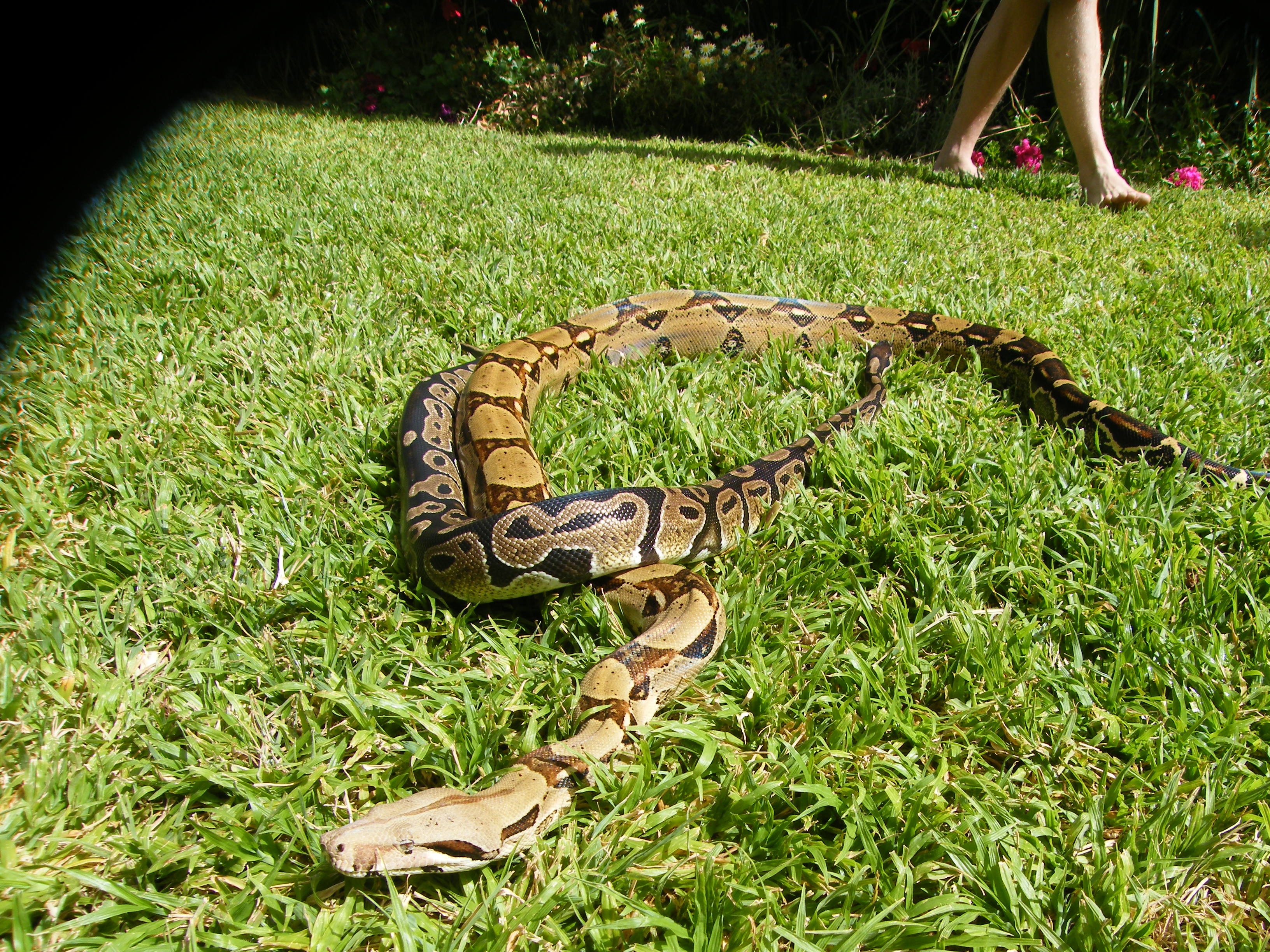 DSCF8100.JPG