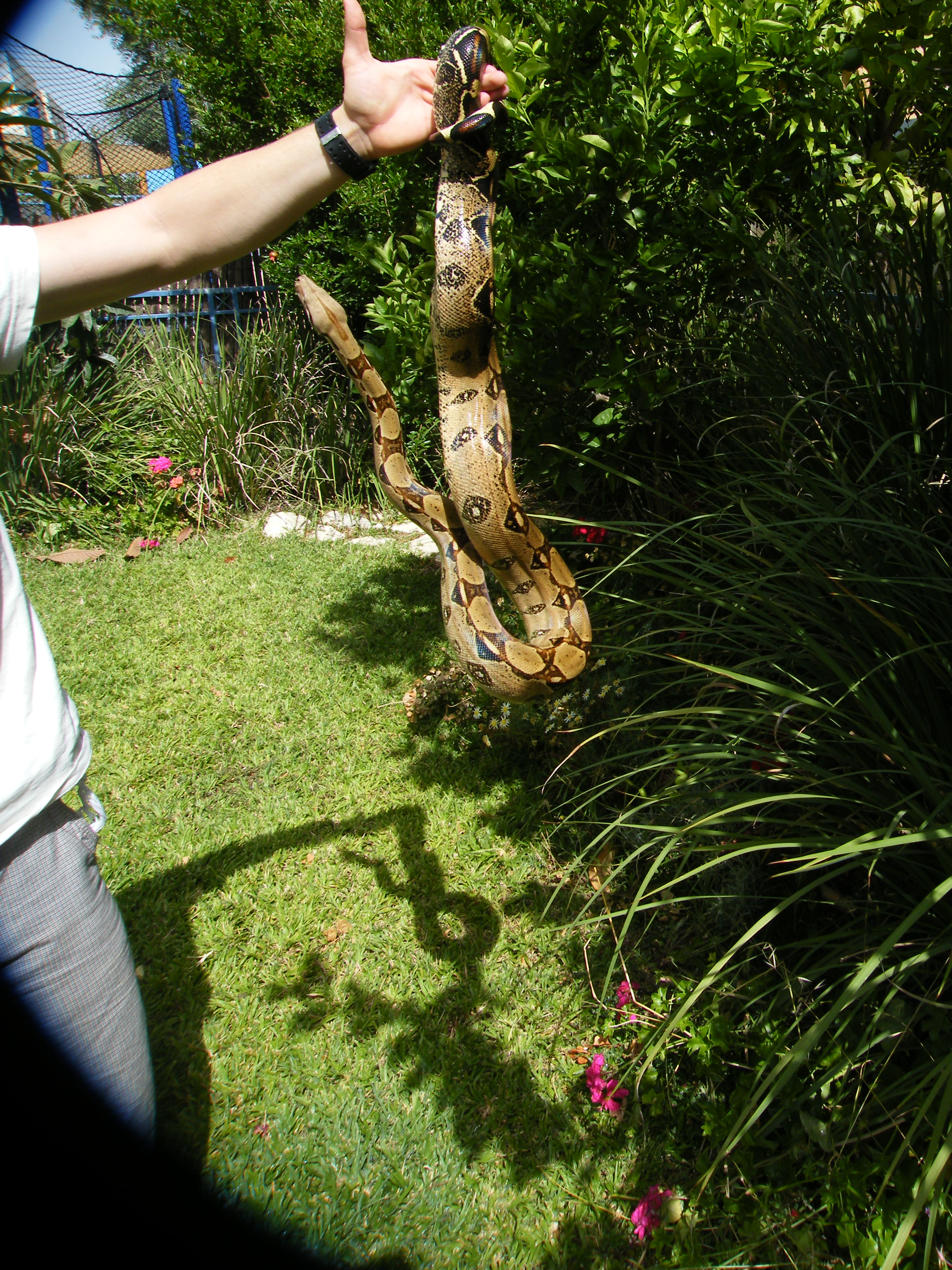 DSCF8094.JPG