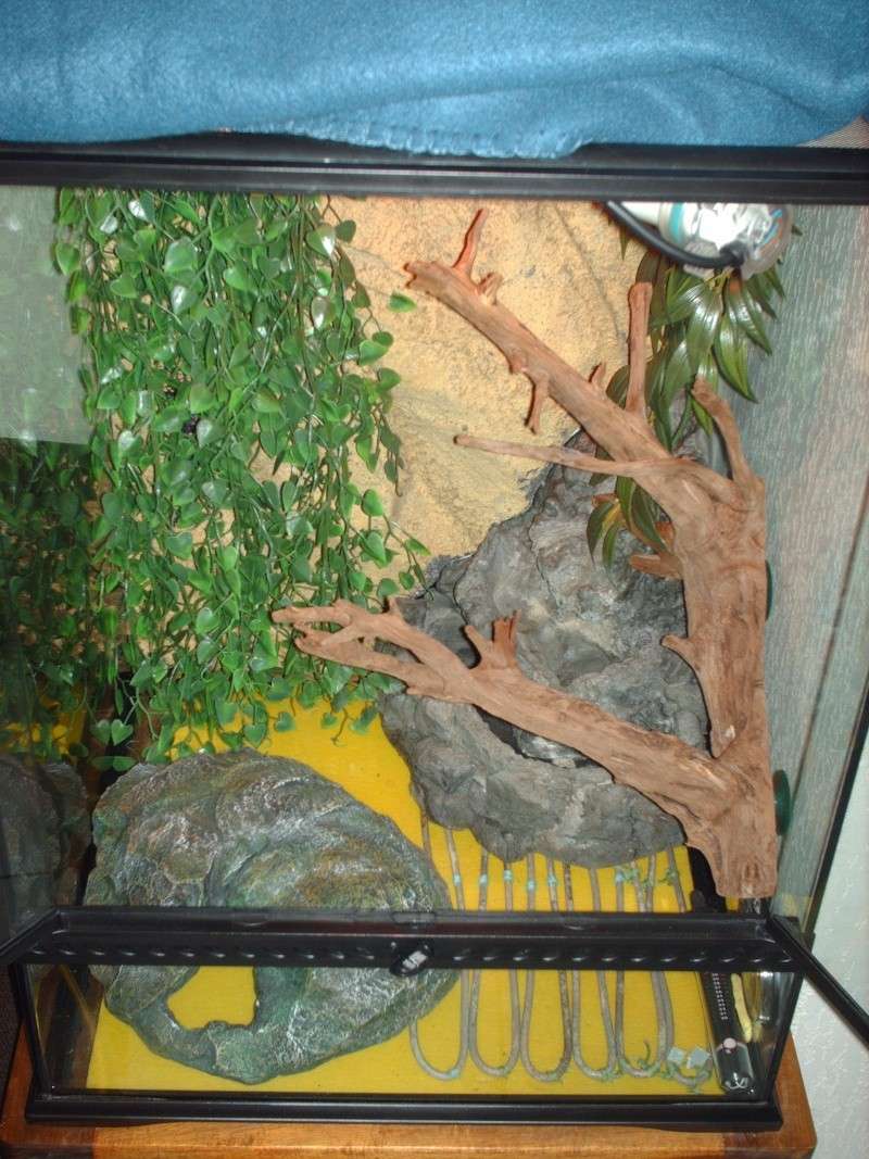 hpim0510.jpg
