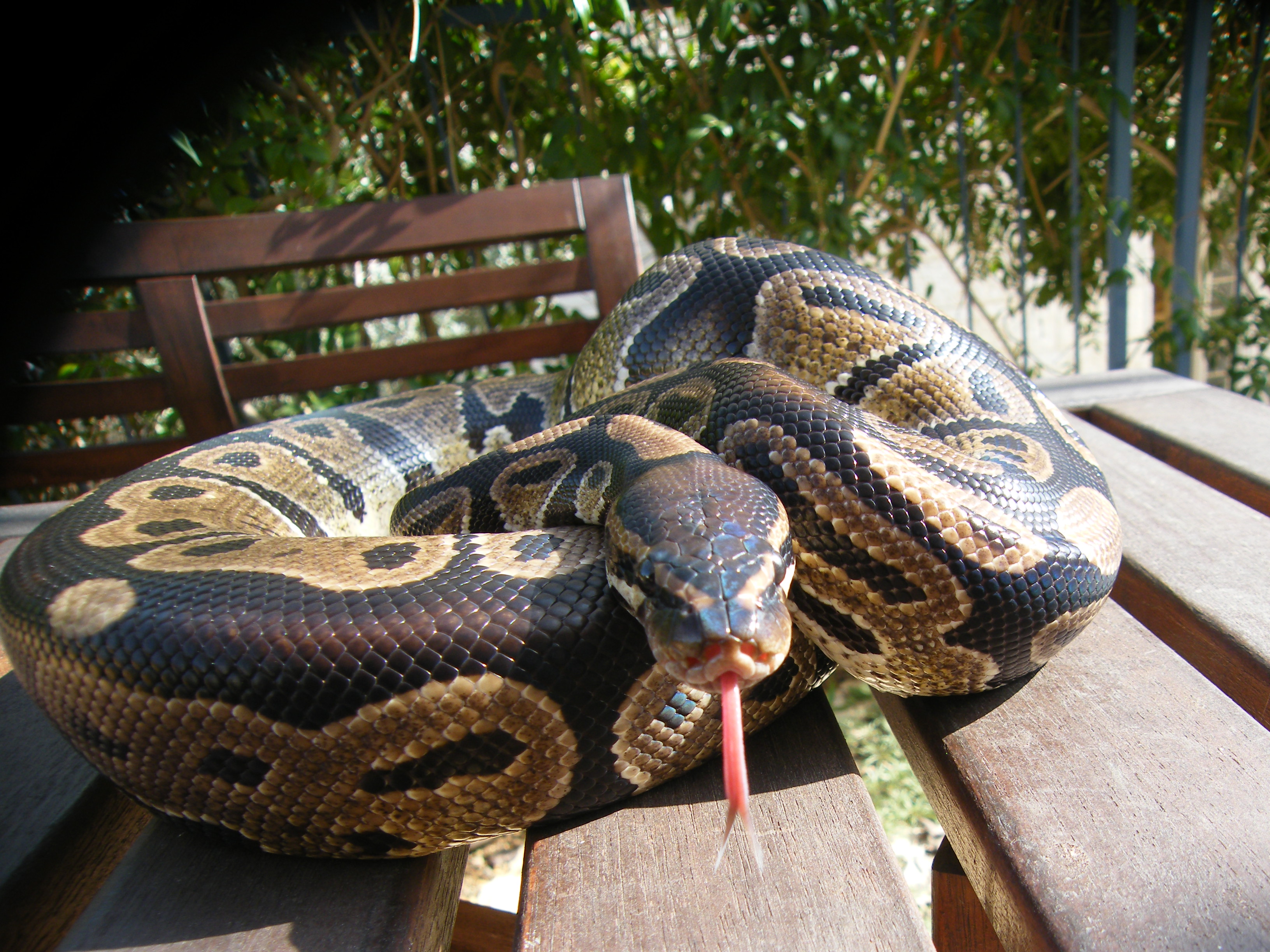 DSCF8163.JPG